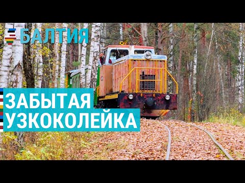 Видео: Забытая узкоколейка | БАЛТИЯ