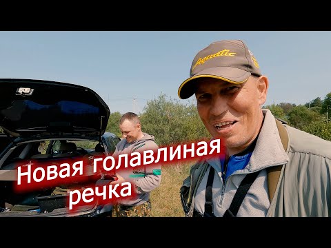 Видео: Рыбалка на ультралайт. Новая голавлиная речка