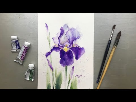 Видео: Акварельная живопись - Фиолетовый ирис - пошаговое руководство.