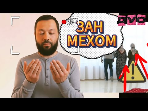 Видео: ЗАН МЕХОМ