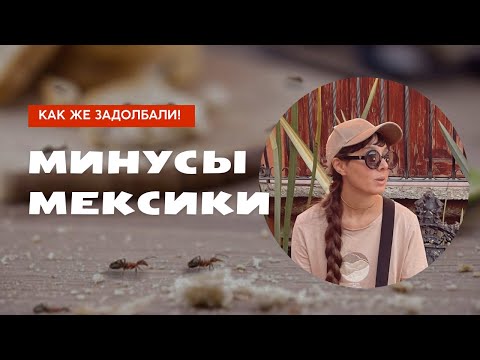 Видео: Не приезжайте жить в Мексику, пока не узнаете эти минусы жизни в ней