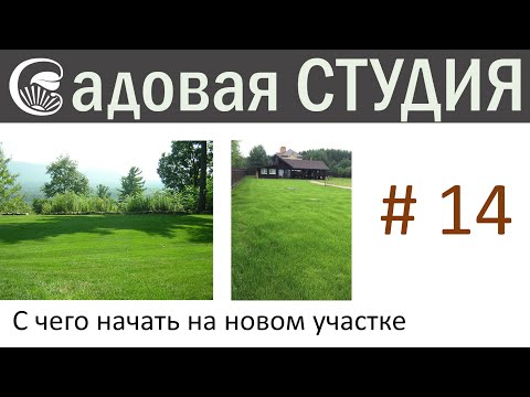 Видео: С чего начать на новом садовом участке