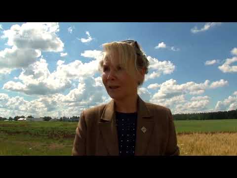 Видео: Дороги деревенские 30.07.22