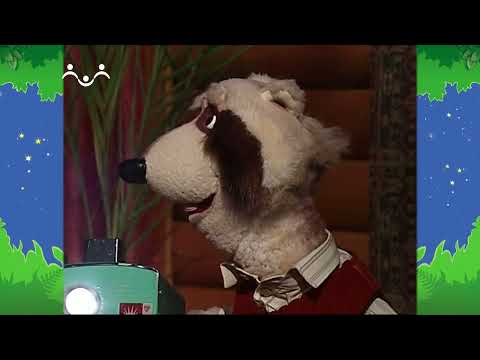 Видео: Вечер в Шишкином Лесу. Открытия Совы. Морские звезды