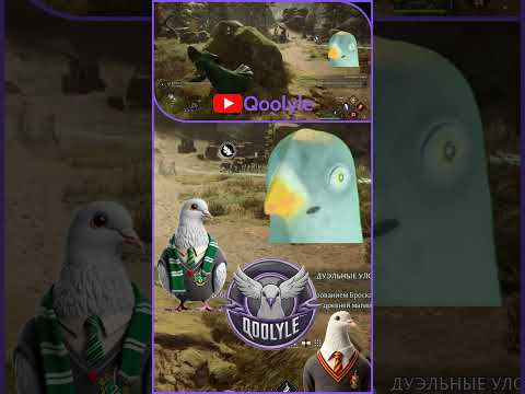 Видео: Какой тоталус? #qoolyle #shorts #хогвартс #hogwarts #игры #прохождение #рек #голубь