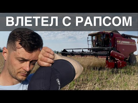 Видео: Почему неурожай? Уборка рапса 2025. Причины