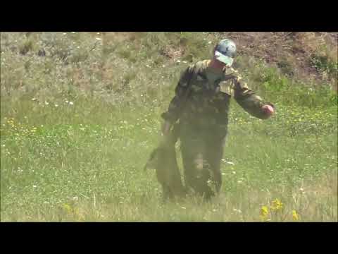 Видео: Охота на сурка