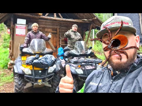 Видео: НАПАДАЮТ КЛЕЩИ В ТАЙГЕ! 50 штук за 1 ЧАС!