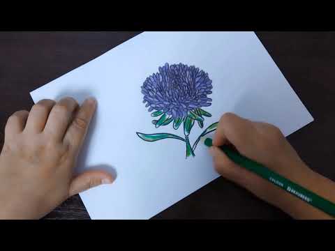 Видео: АСМР рисую Астру 🌸 Истории из жизни. Поболтаем перед сном. Шепот. Видео и звуки для сна.