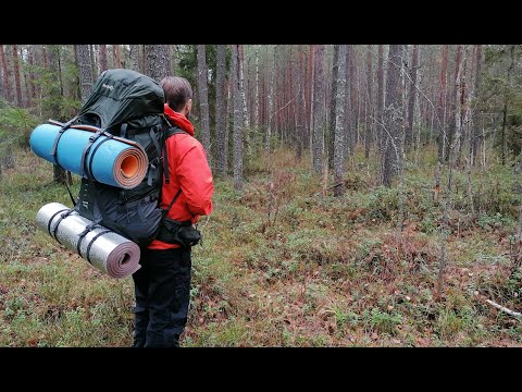 Видео: НАШЛИ КОСТИ ЖИВОТНОГО В ЛЕСУ. РАЗВЕДКА МЕСТА ДЛЯ ФОТОЛОВУШКИ. Ночь в лесу. Ноябрь. Пеший туризм #1