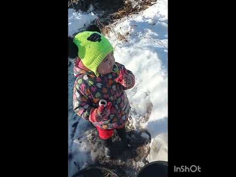 Видео: Чоң ата менен небере.