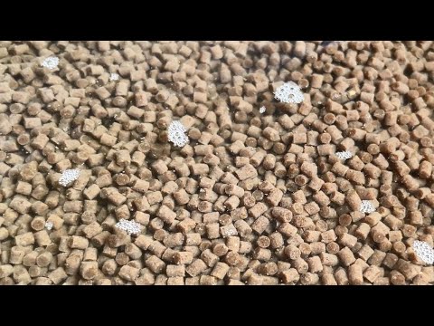 Видео: ЯК правильно замішати МЕТОД МІКС для флету. Роби правильно!