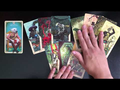 Видео: 4 короля: мысли, чувства, действия 