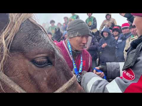 Видео: Аксы, Аксуу 1986-жылкы мырзалардын Улак ойуну ,  20-жылдык кубогу