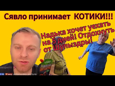Видео: САВЕЛИЙ АД/СЯВЛО ПРИНИМАЕТ КОТИКИ! НАДЬКА ЕДЕТ В ОТПУСК НА 5 ДНЕЙ#самвеладамян