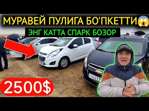 Видео: 13-НОЯБР СПАРК НАРХЛАРИ 2024.МУРАВЕЙ ПУЛИГА БО'ПКЕТТИ💥2500$ СПРАКЛАР🤝УХХХ.ФАРГОНА МОШИНА БОЗОР 2024