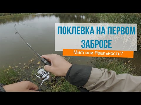 Видео: Поклёвка на первом забросе | Миф или реальность?