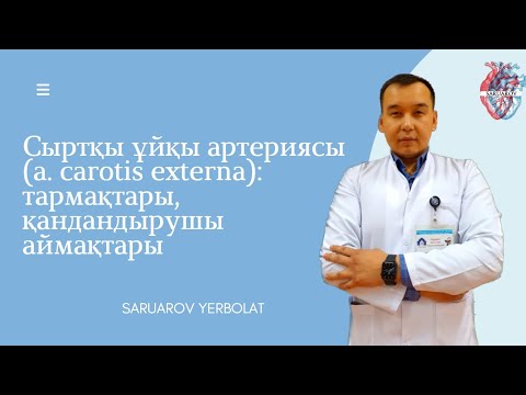 Видео: Сыртқы ұйқы артериясы (a. carotis externa): тармақтары, қандандырушы аймақтары
