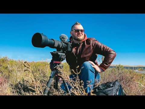 Видео: CANON, ДАЮ ТЕБЕ ПОЛГОДА! Или ухожу на NIKON! | Выбор камеры и объектива для съемки дикой природы.