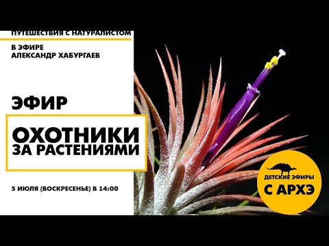 Видео: Детский эфир "Охотники за растениями" в рамках рубрики "Путешествия с натуралистом"