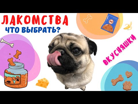 Видео: Лакомства для собак в дегидраторе 🥓  Можно ли кости собакам ❓ 🦴 Полезные вкусняшки для животных 🥩