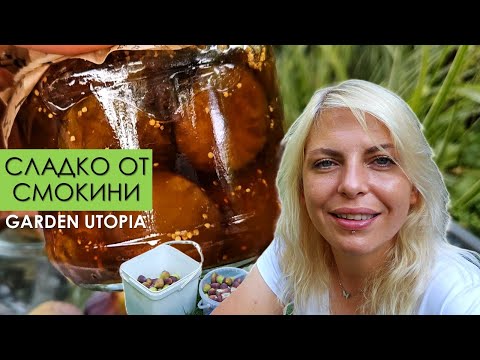 Видео: СЛАДКО от ЗРЕЛИ СМОКИНИ