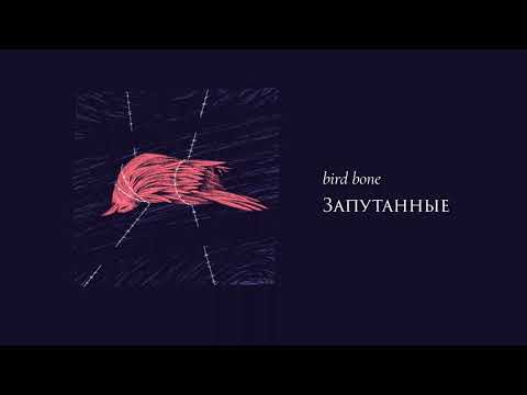 Видео: Bird Bone — Запутанные