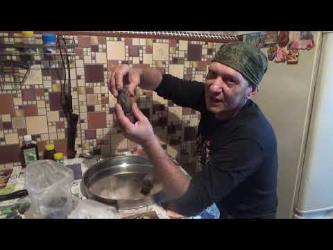 Видео: бобровая струя!!! секретный рецепт!!! народная медицина!!!