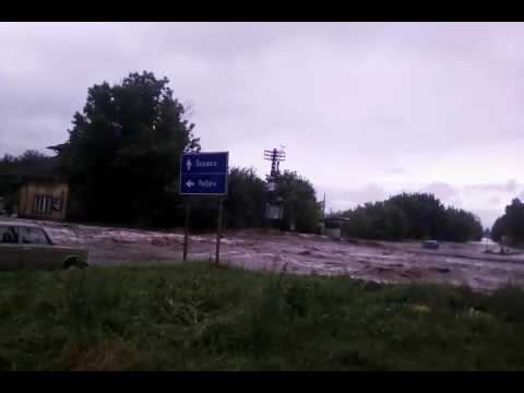 Видео: Подем Плевенска област