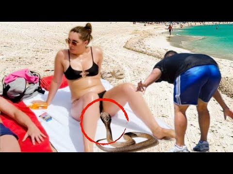 Видео: Если бы Это Видео не Сняли на Пляже Никто бы не Поверил!