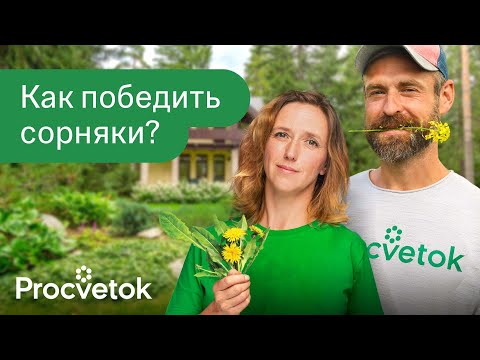 Видео: 30 МИНУТ ПРОСМОТРА ИЛИ ГОДЫ БОРЬБЫ С СОРНЯКАМИ? Секреты чистого огорода и полезного компоста