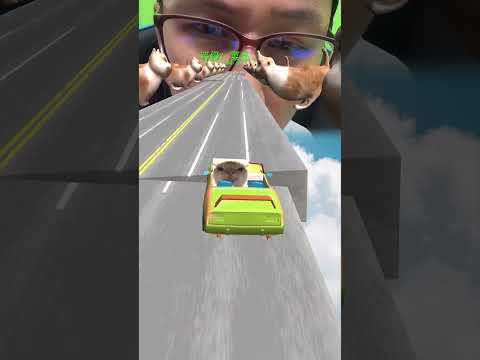 Видео: Рульде мысық отр