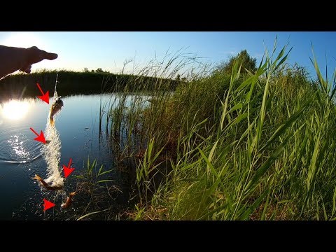 Видео: Рыбалка на сетку с кормушкой с Алиэкспресс хороший улов рыбалка на видео