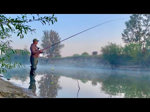Видео: Осіння Ловля в Проводку. Яка Риба Клює на Пруті