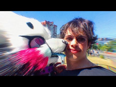 Видео: Что такое Фурри-сходка? Сейчас я вам покажу...