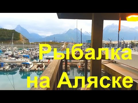 Видео: Ловля лосося. США.  Аляска . Valdez - рыбный рай для туристов.