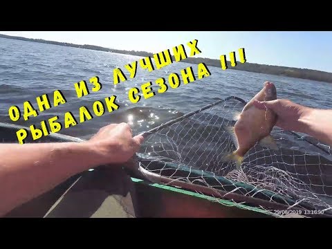 Видео: Отличный клёв подлещика , Суходольское озеро.