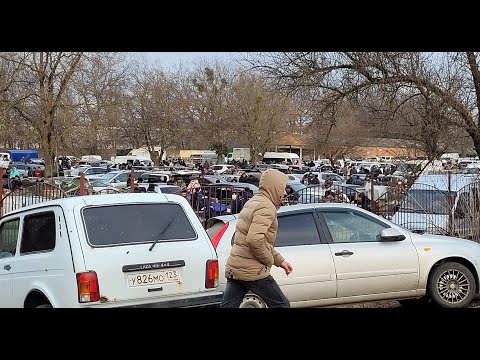 Видео: Часть 3, г Кропоткин ярмарка голубей декоративных птиц.