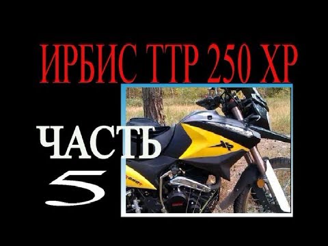 Видео: ИРБИС ТТР хр 250 Р Ставлю поршень, цилиндр, головку!!!