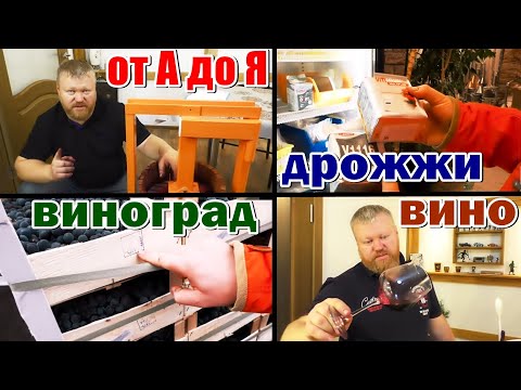 Видео: Домашнее вино от А до Я / из винограда изабелла + молдова / Рецепт вина