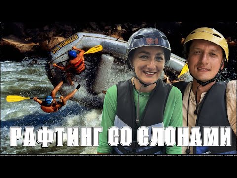 Видео: Рафтинг и катание на слонах в Пхукете | Экскурсия в Пхукете | Таиланд