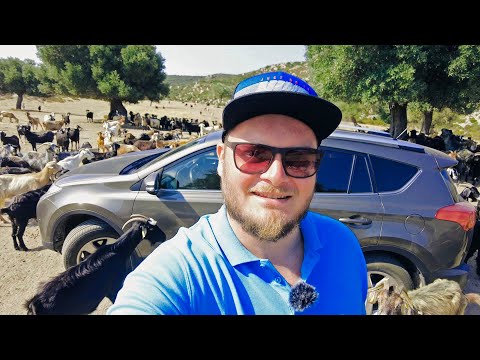 Видео: БЕШЕНЫЕ КОЗЛЫ ПОМЯЛИ МАШИНУ! Fava beach, пещера апостола Павла в Неа Фокеа, Suni Beach, Agios Mamas
