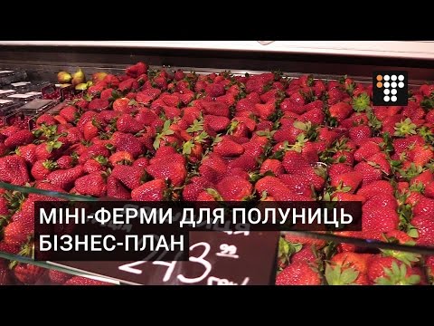 Видео: Міні-ферми для полуниць. Бізнес-план