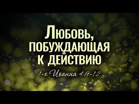 Видео: Любовь, побуждающая к действию (Вениамин Портанский)