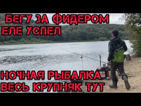 Видео: БЕГУ за ФИДЕРОМ ЕЛЕ УСПЕЛ ВЕСЬ КРУПНЯК на ТОЧКЕ НОЧНАЯ РЫБАЛКА 