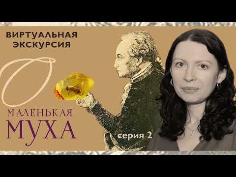 Видео: Первая любовь Канта. Музей янтаря рассказывает об увлечении философа естественными науками. 2 серия