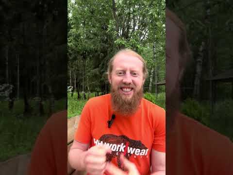 Видео: Мой опыт и взгляд на боевые искусства