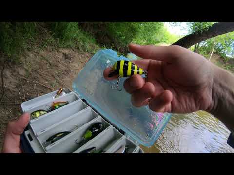 Видео: Мощные поклевки головля в июне на реке Кондурча.