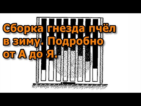 Видео: Сборка гнезда пчёл в зиму. Подробно от А до Я.