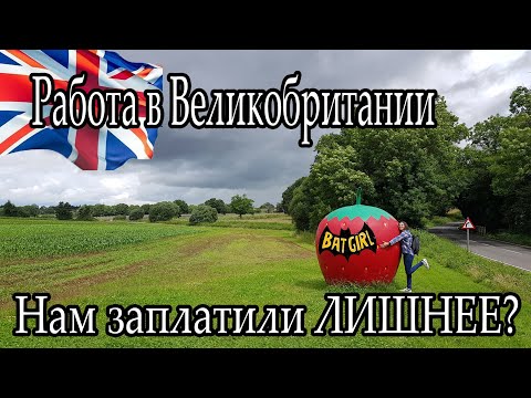 Видео: Работа на ферме в Англии. Нам заплатили ЛИШНЕЕ?  | Новости с полей | Вкусняшки от фермы